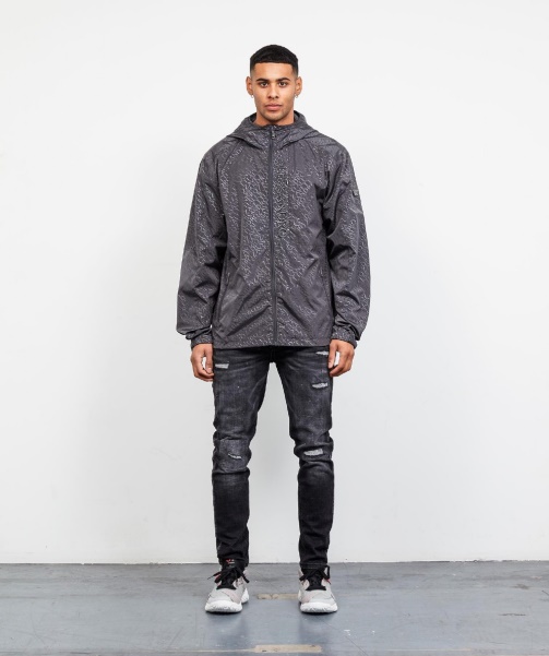 Grey Alessandro Zavetti - Cetro Windrunner